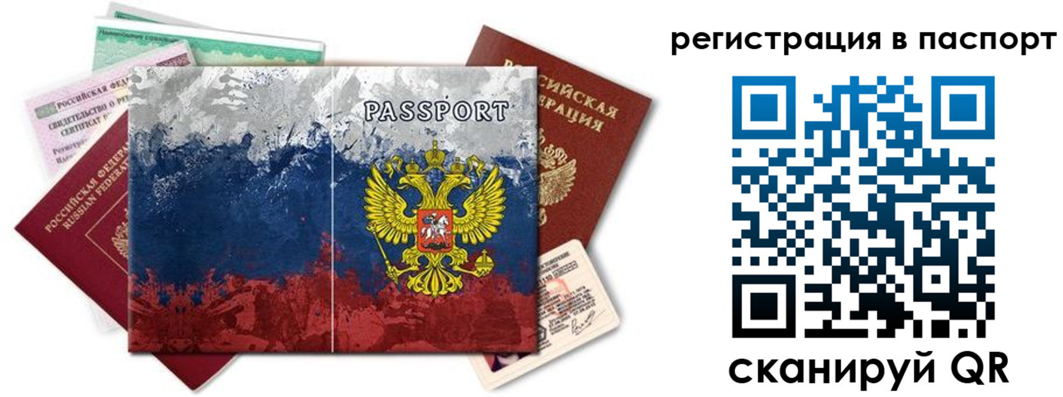 прописка поиск в Бийске